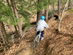Gorham Pump Track & Frazier Preserve