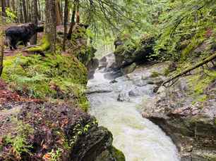 Mill Trail to Bingham Falls, Vermont