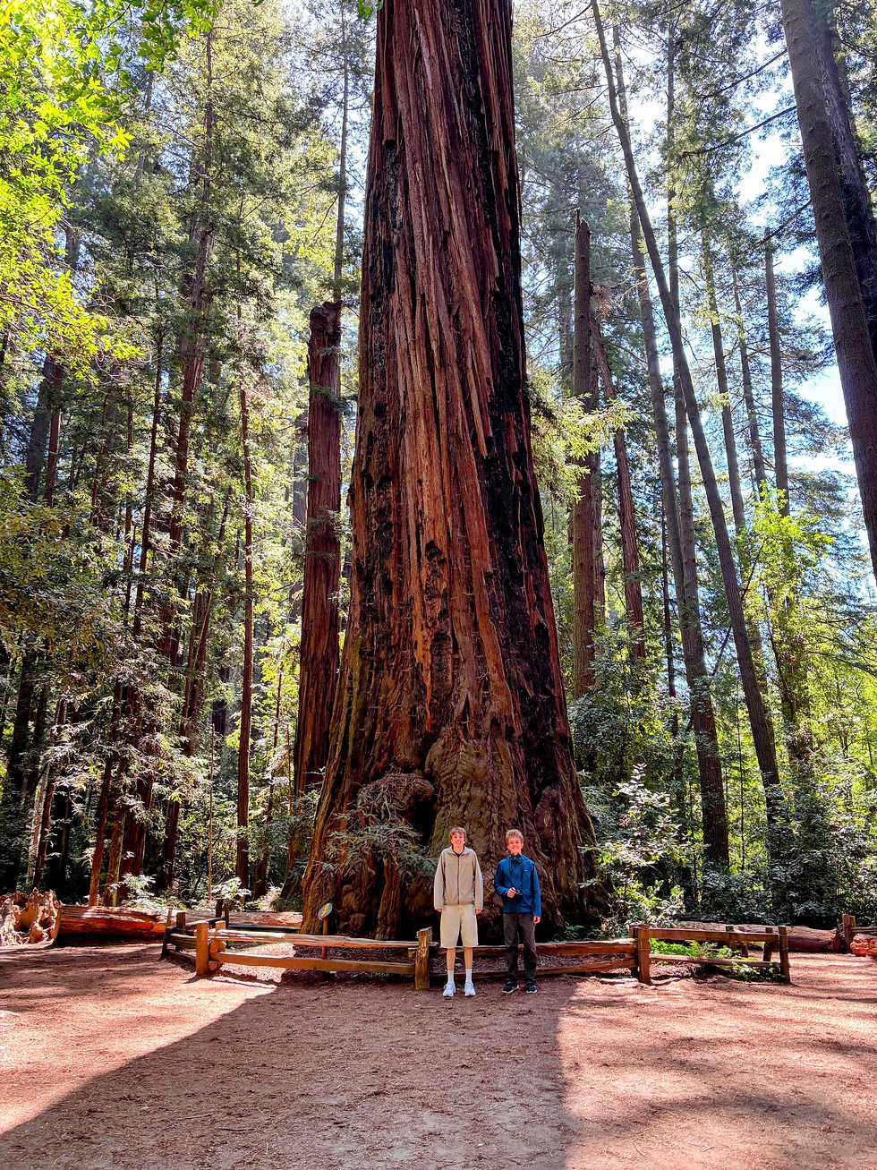 Two boys standing in front of giant redwood on the Redwood Grove Loop at Henry Cowell State Park.