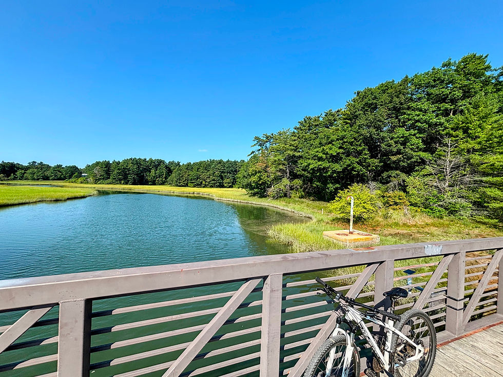 Bridge over the Stroudwater River Trail in Portland, Maine. There is a white mountain bike resting on the railing of the bridge and it's a clear, blue sky day.