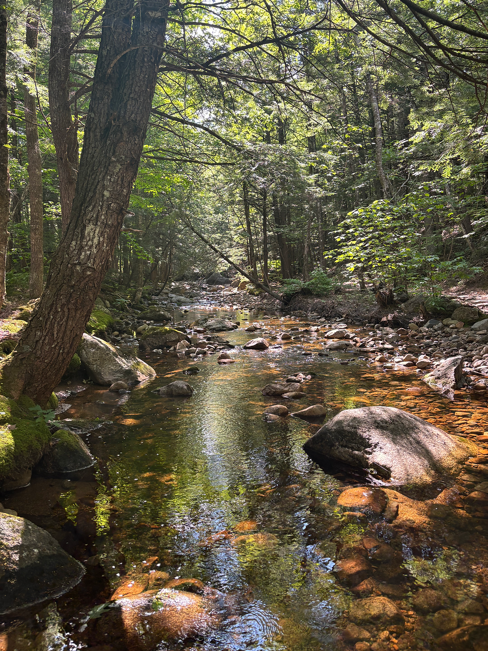 Stream along the North Moat Mountain trail in North Conway, New Hampshire.