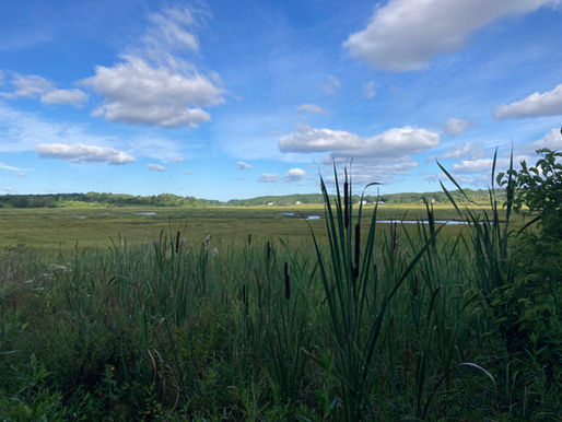 Cape Elizabeth Town Poor Farm