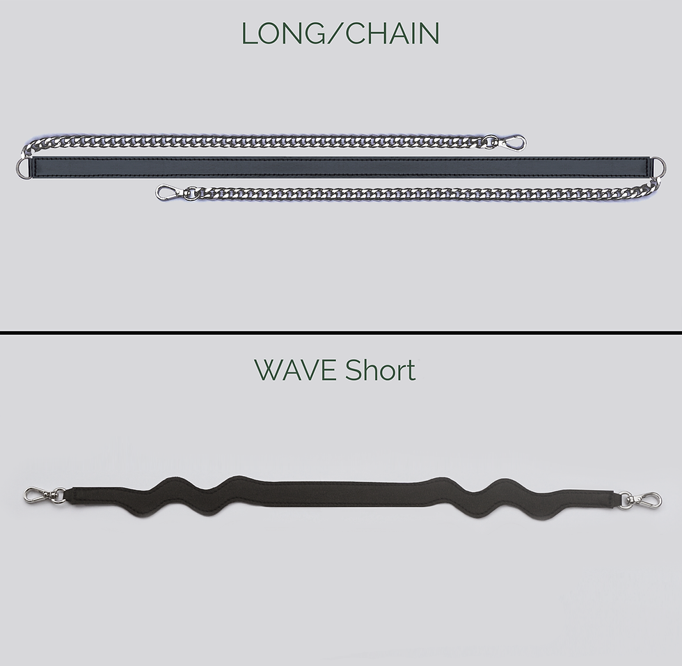 Thumbnail: STAG BEETLE Black