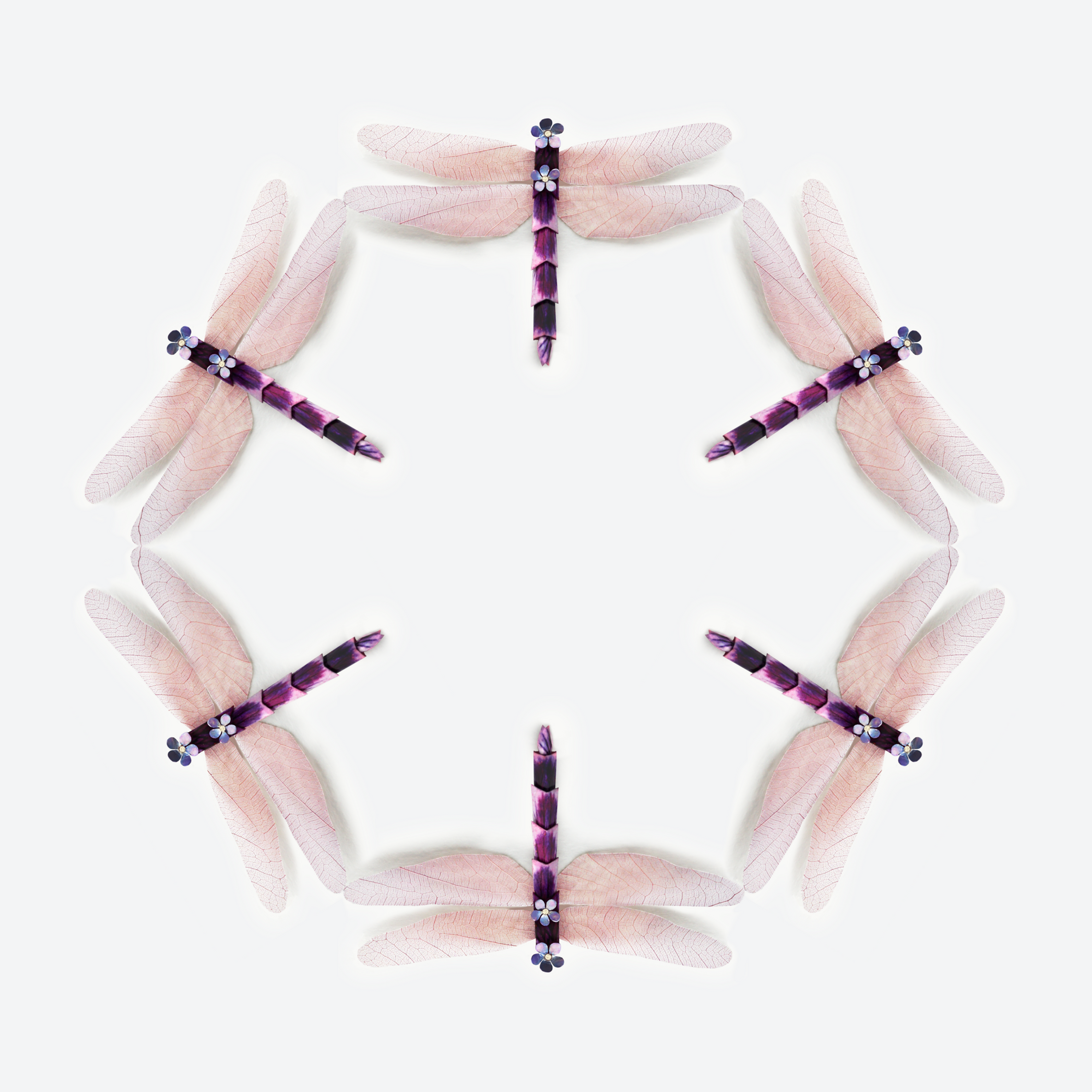 Dragonfly Kaleidoscope Giclée Print