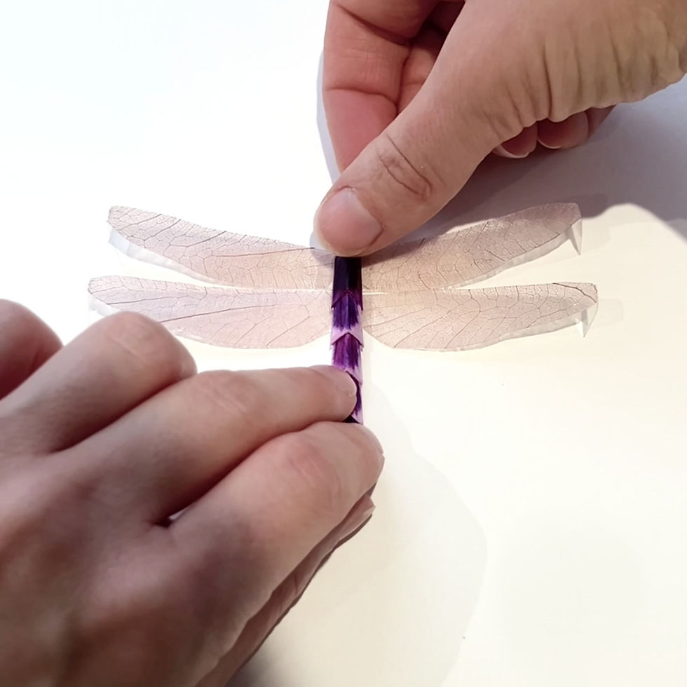 Thumbnail: Dragonfly Kaleidoscope Giclée Print