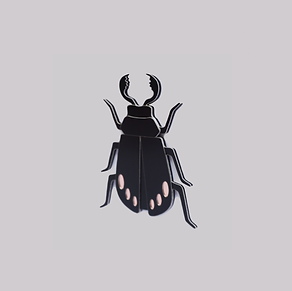 STAG BEETLE Magnet Black