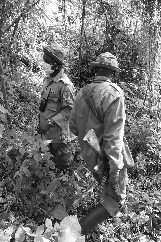 Bewaffnete ICCN-Ranger im Virunga-Park