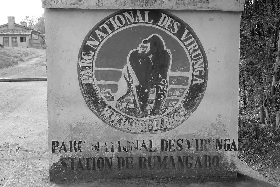 Logo des Virunga-Parks am Eingang des Parks in Rumangabo