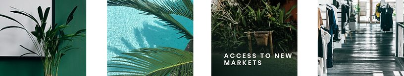 one-basket-caribbean-made-by-molli-mood-board.png