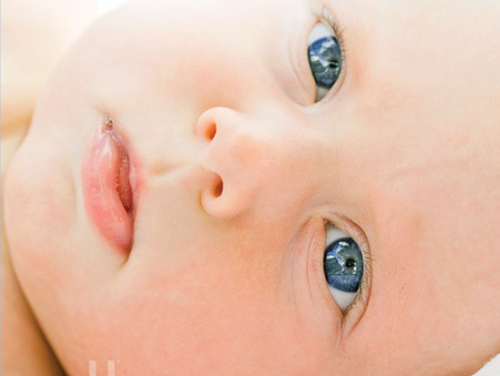 baby love - SMH - publication design