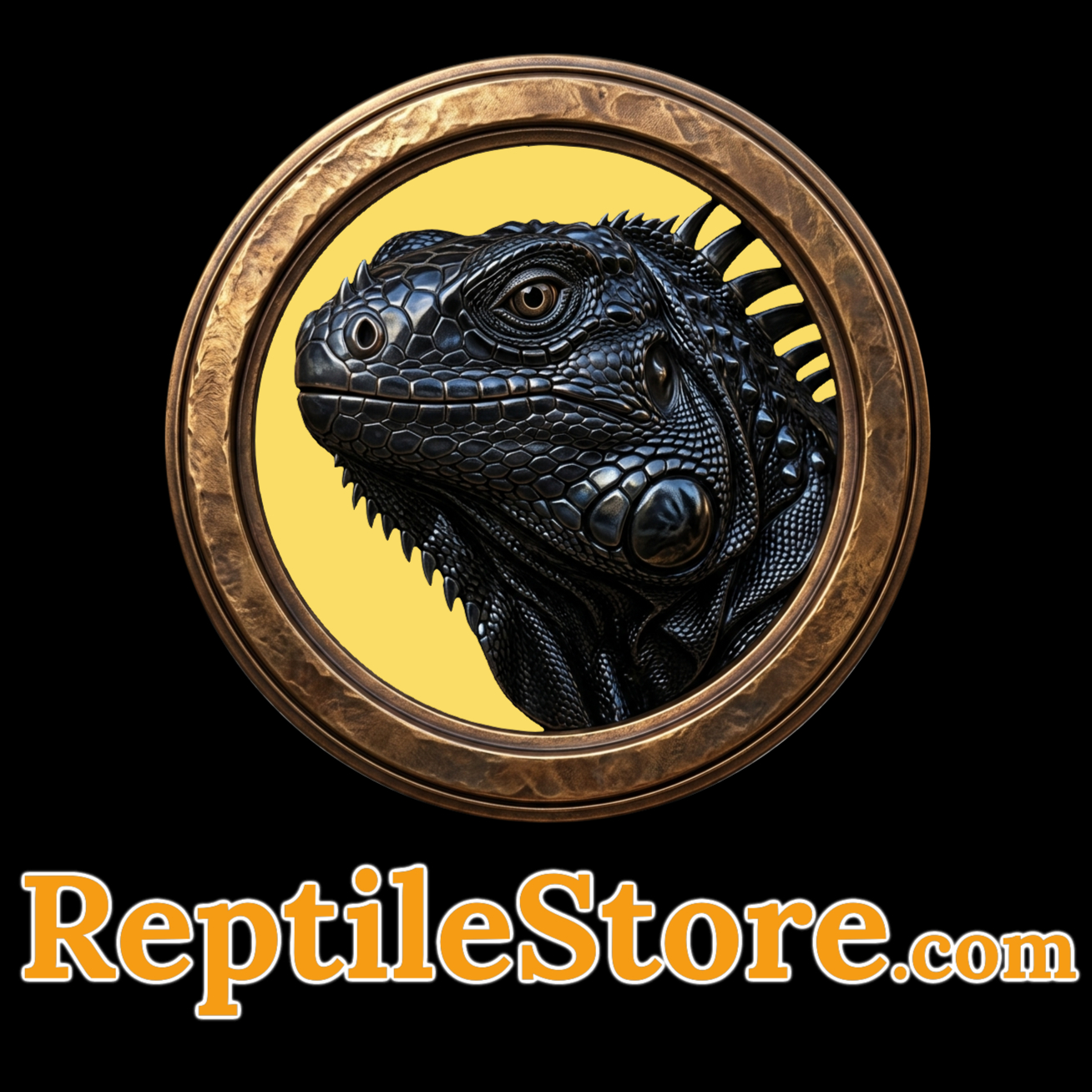 logo-without-live_edited.jpg