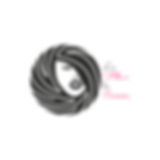 transparent.png