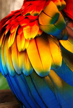 tumblr_ma47vaWLh61r2rw64o1_500
