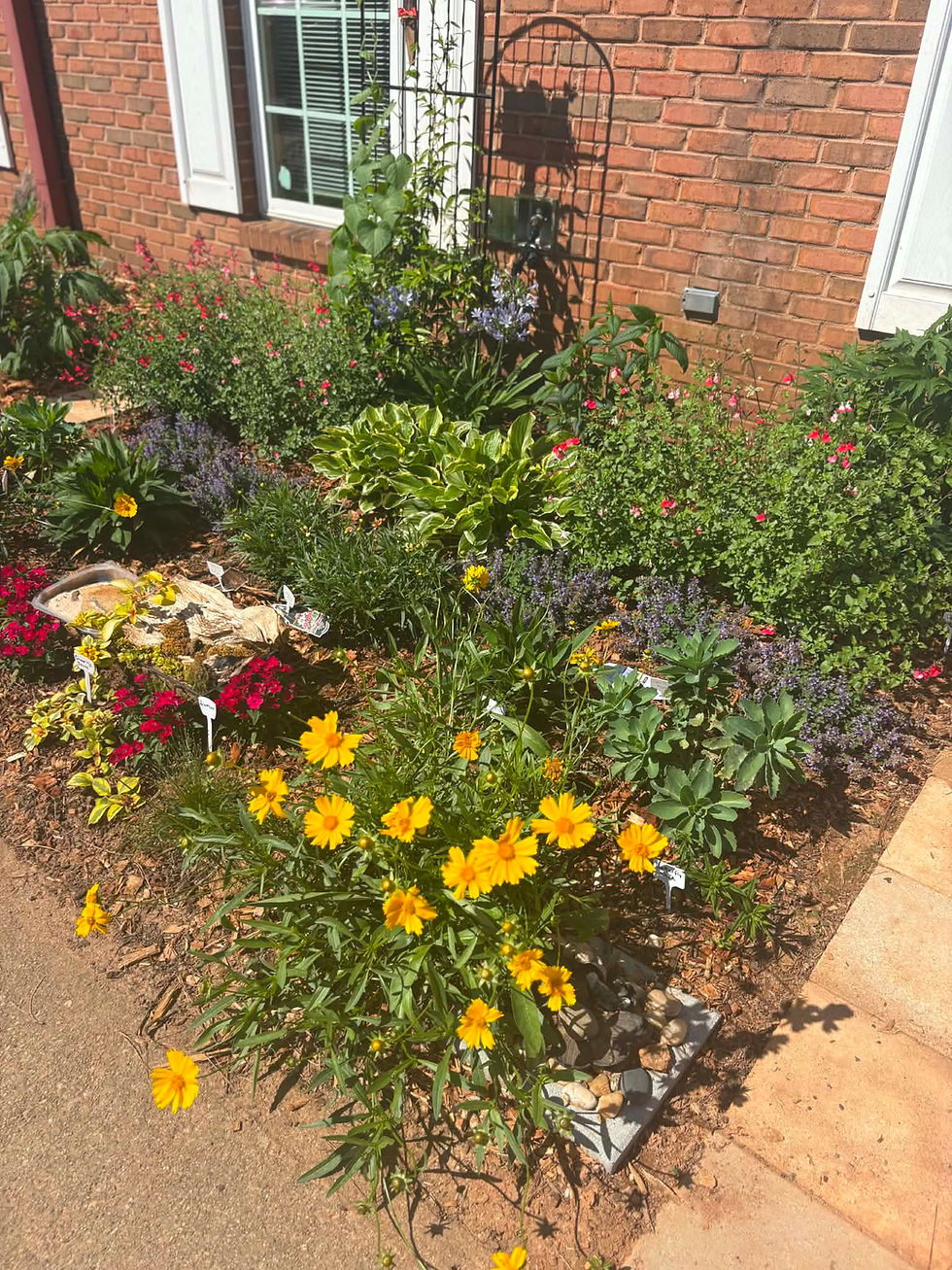 Competition Gardens Foster Learning, Friendships, and Beauty