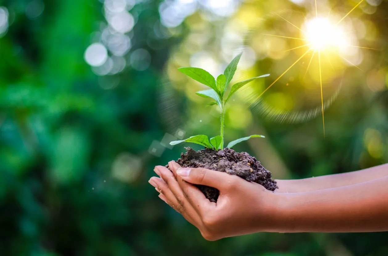 Sustainability