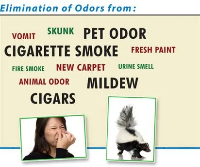 Odor Removal.webp