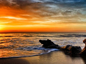 Sol y mar; mar y sol: vida