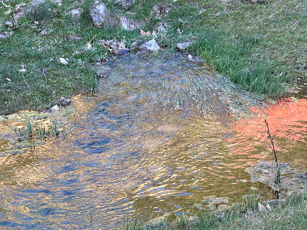 Hontanares