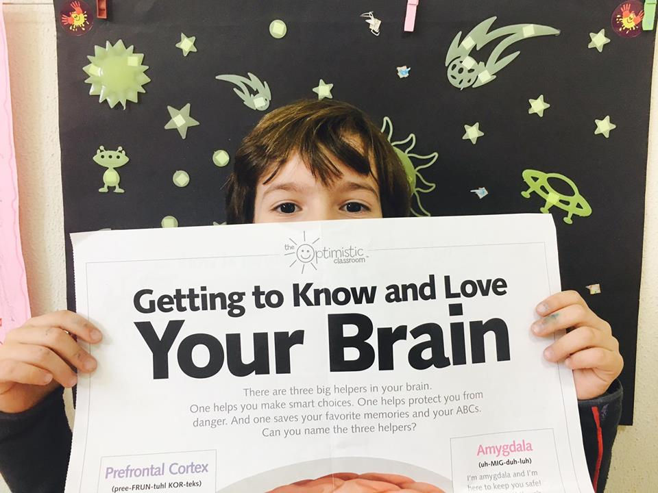 Neuroscience for Kids