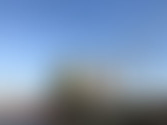 I wish you a Merry Christmas and Happy Holidays