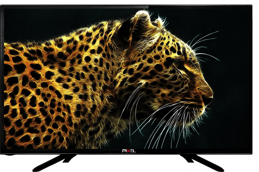Thumbnail: PIXEL 50cm (19.5 inch) HD Ready LED TV  (P2PXL19HD)