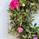 Thumbnail: Living Spring Wreath Workshop