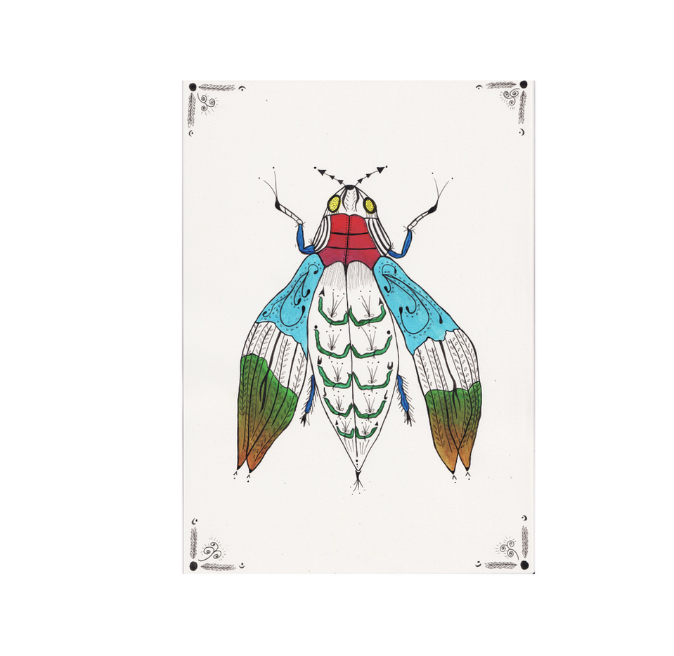Insects