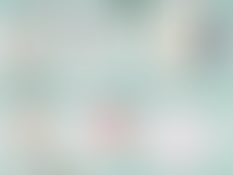 Holiday Gift Guide - Wellness Edition