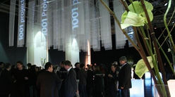 Creative production and immersive visual installation by Miami Video Mapping
