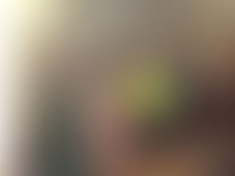 Palestra na A:.R:.L:.S:. Mestre Pescador