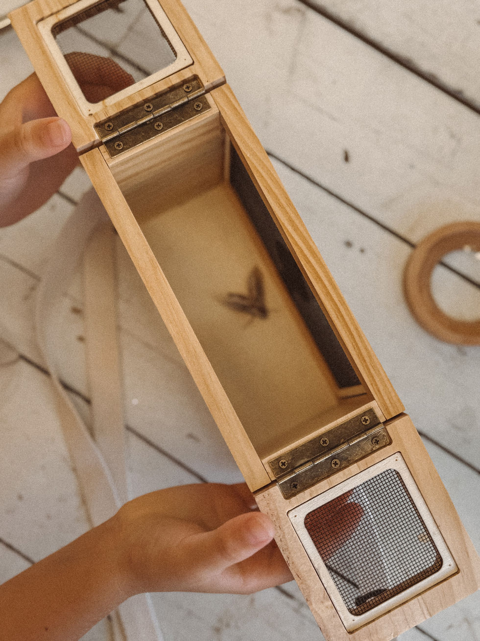 Thumbnail: Wooden bug catcher set 