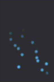 20240516-1006-58.2112599.gif