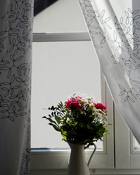 Beratung, online, Zoom, Gesundheitsberatung, Gesundheit, Angst