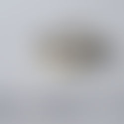 wedding ring "bridge"