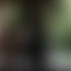 meeting of the wedding ring