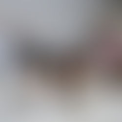 the bride and groom ring holder