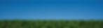 cta-bg-desktop.jpg