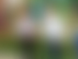 Recibe Nino Morales, saludo de pueblos de Valles Centrales.