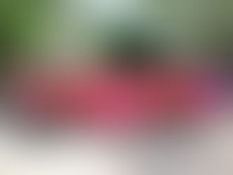 ¡Club Peligrosos, campeones de la Copa Juchitán 2025!