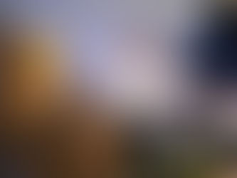 CALENDARIO POLAQUERO
Tercer Informe/UABJO
Avance Académico
JL/Borkz