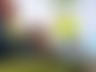 Embellecen acceso poniente de la ciudad con tequio vecinal en la Carretera Internacional.