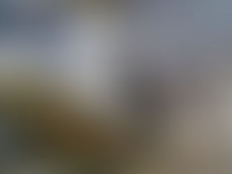 ¡TIEMBLAN LOS NARC0S EN MICHOACÁN! VAN POR ELLOS