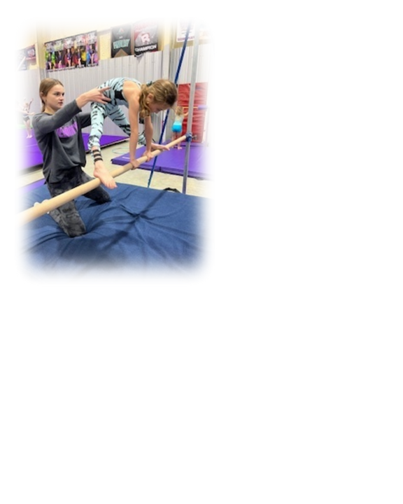 A New Design (1) (3).png