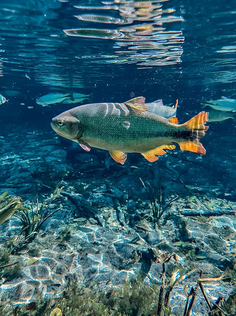 IMG_6035.jpg