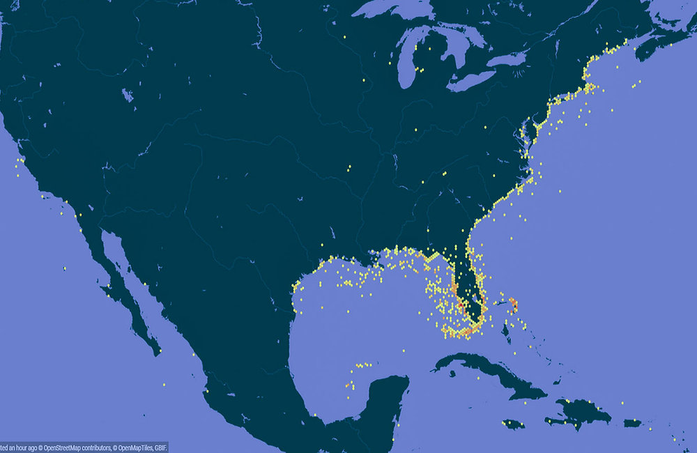 The Eastern Seaboard Project Geolocation in Progress