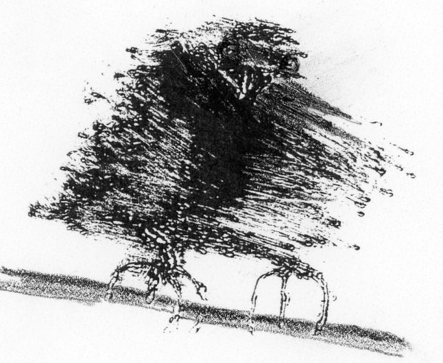Bird Pen & Ink 3