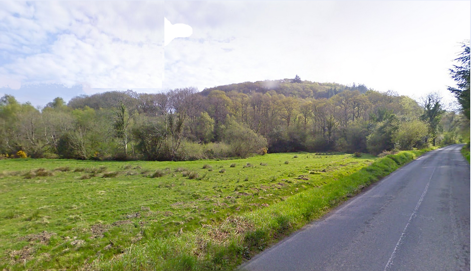 Ballynagran_forestry_photo.png