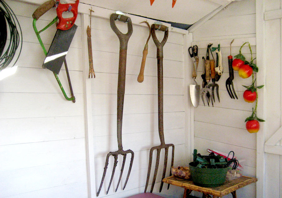 SHEDS AND BASEMENTS