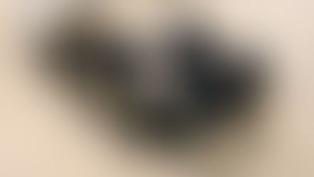 צו השעה בעקבות האסון: האחדות מחייבת