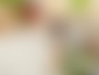 ערב פסח שמח! היתכן?